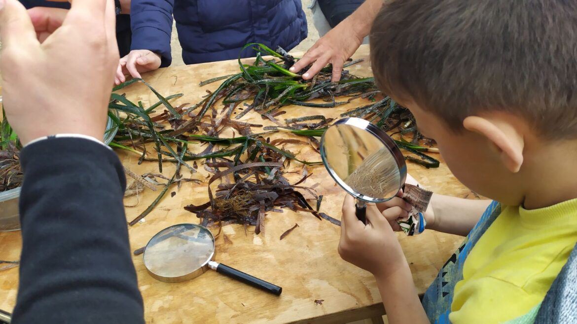 εικόνα_Viber_2022-05-11_19-51-19-938