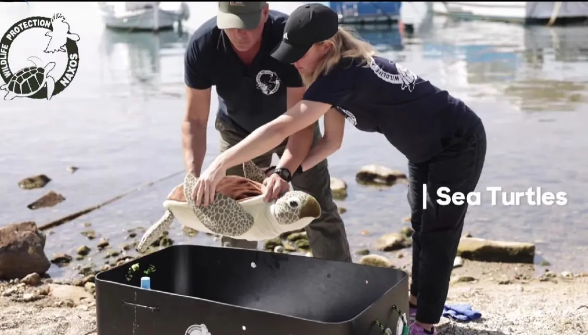 Screenshot 2024-12-12 164219