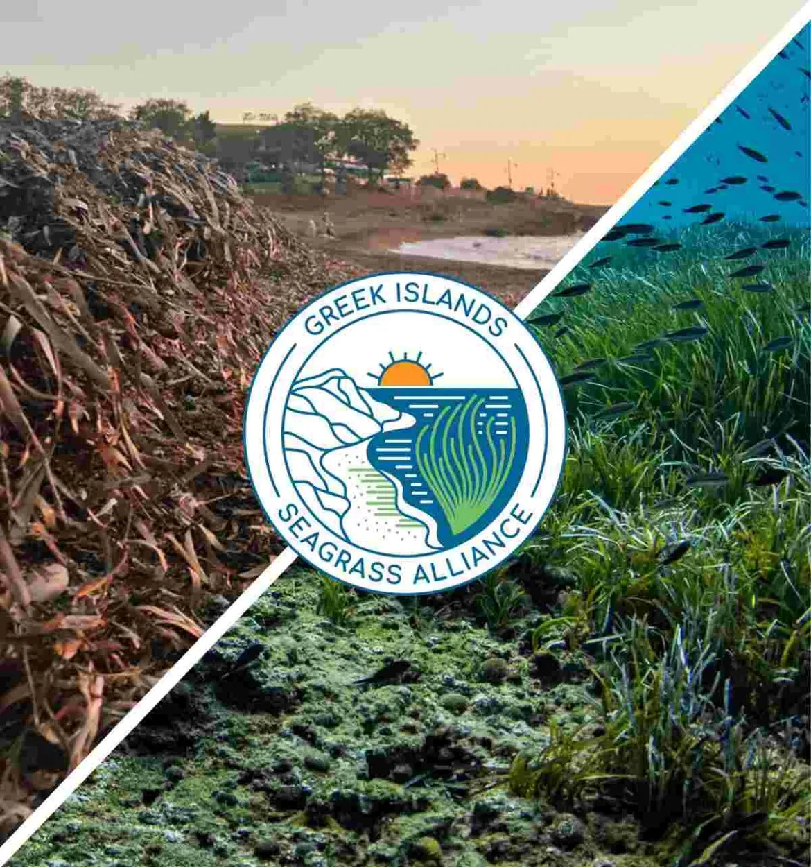 560622795_1352797883547606_1698652633181744378_n